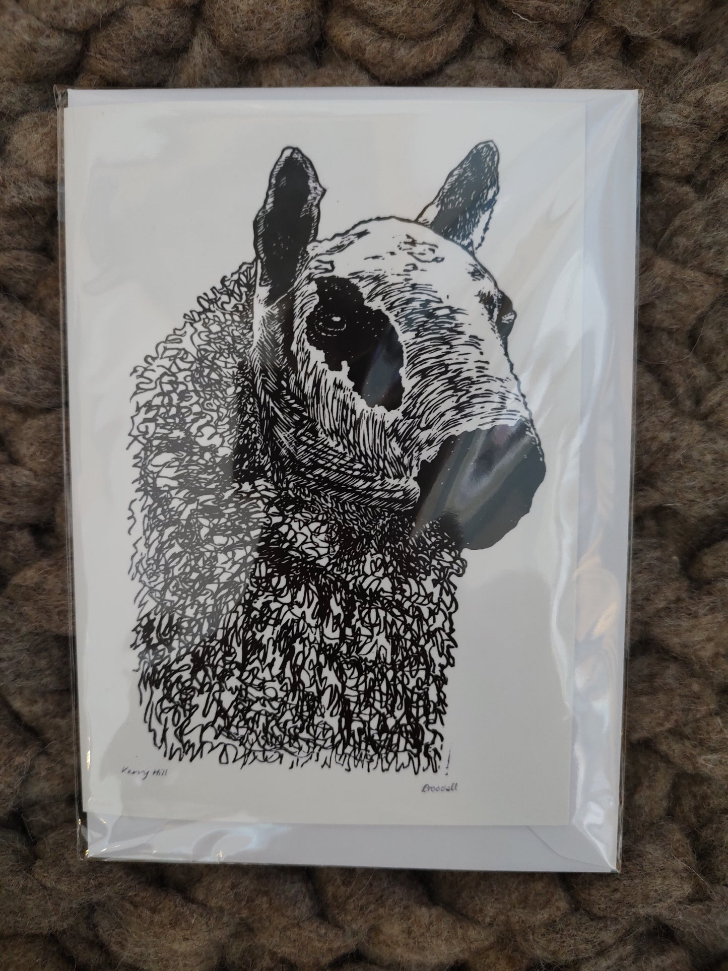 Slow Toad Art Cards