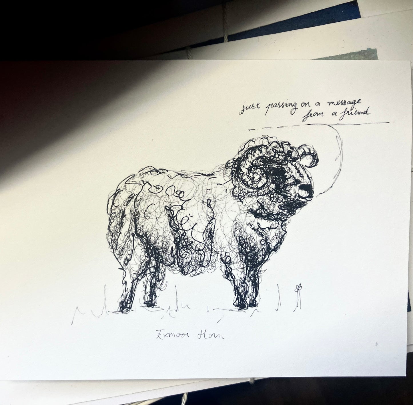 Land and Fauna Greetings Cards