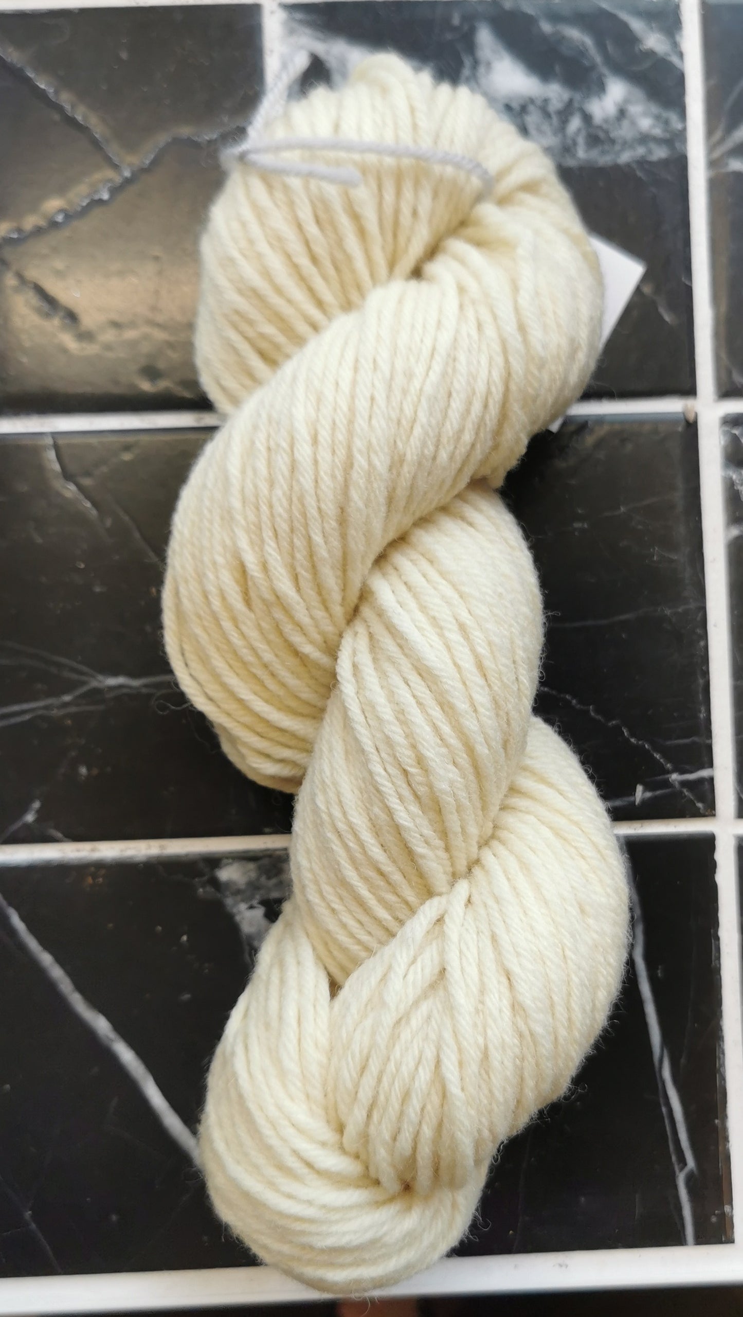 Shropshire Chunky