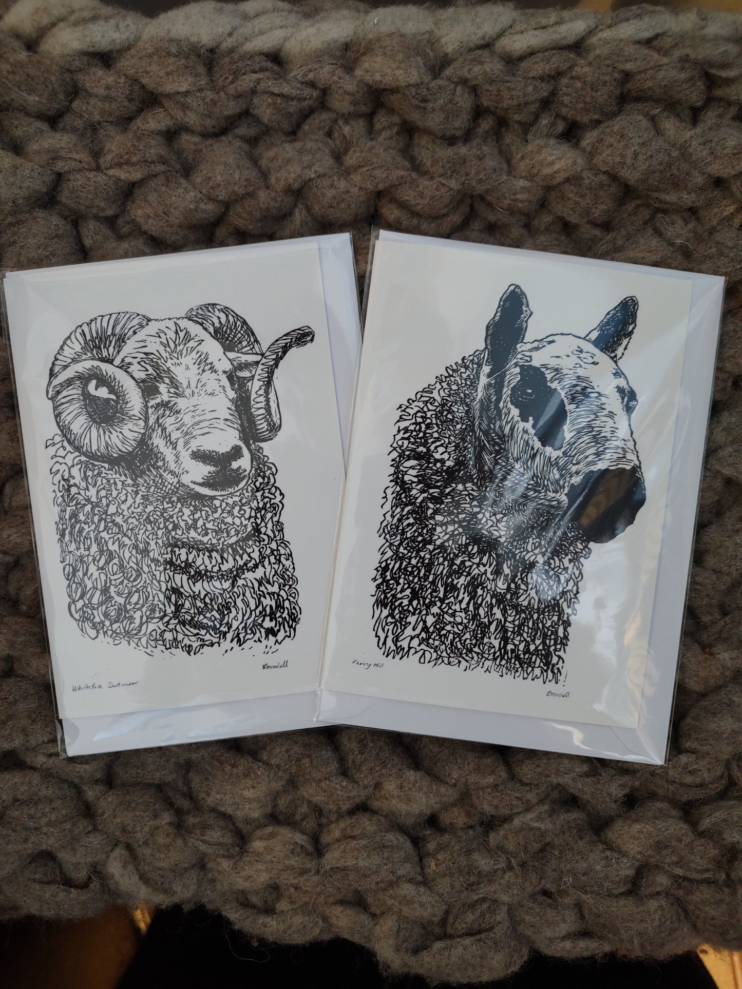 Slow Toad Art Cards