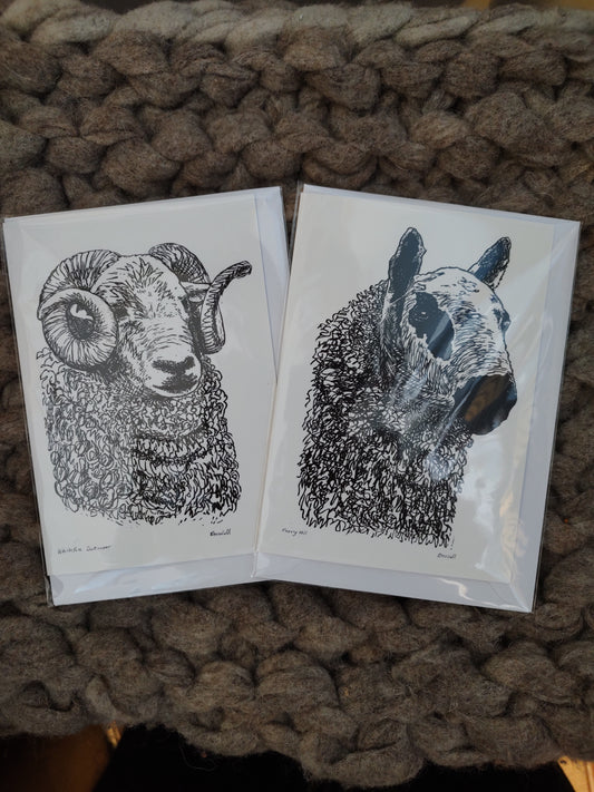 Slow Toad Art Cards