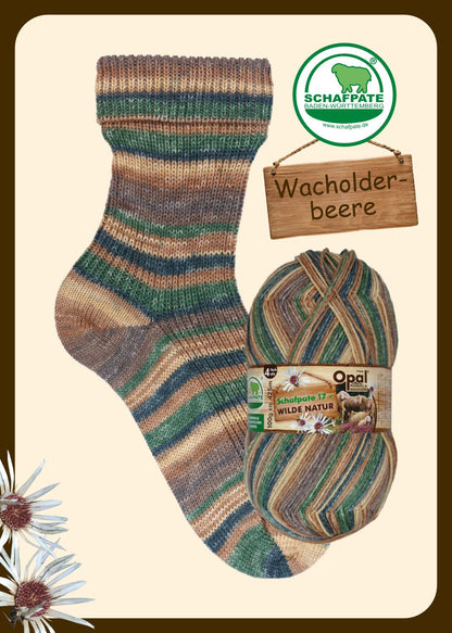 Opal Schafpate 17 Wild Nature 4 ply