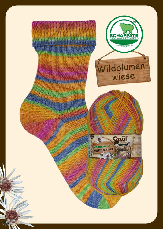 Opal Schafpate 17 Wild Nature 4 ply
