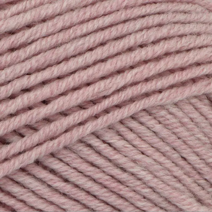 Little Lamb DK