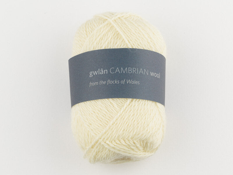 Cambrian Wool 4 ply