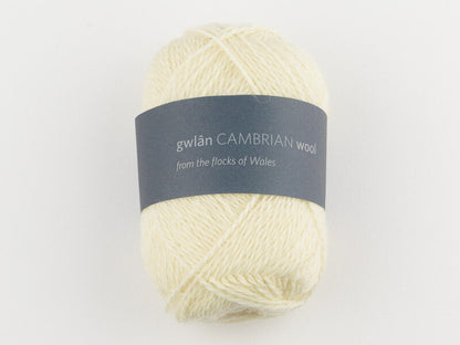 Cambrian Wool 4 ply