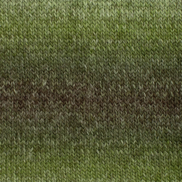 The Croft Wild Shetland Aran Roving