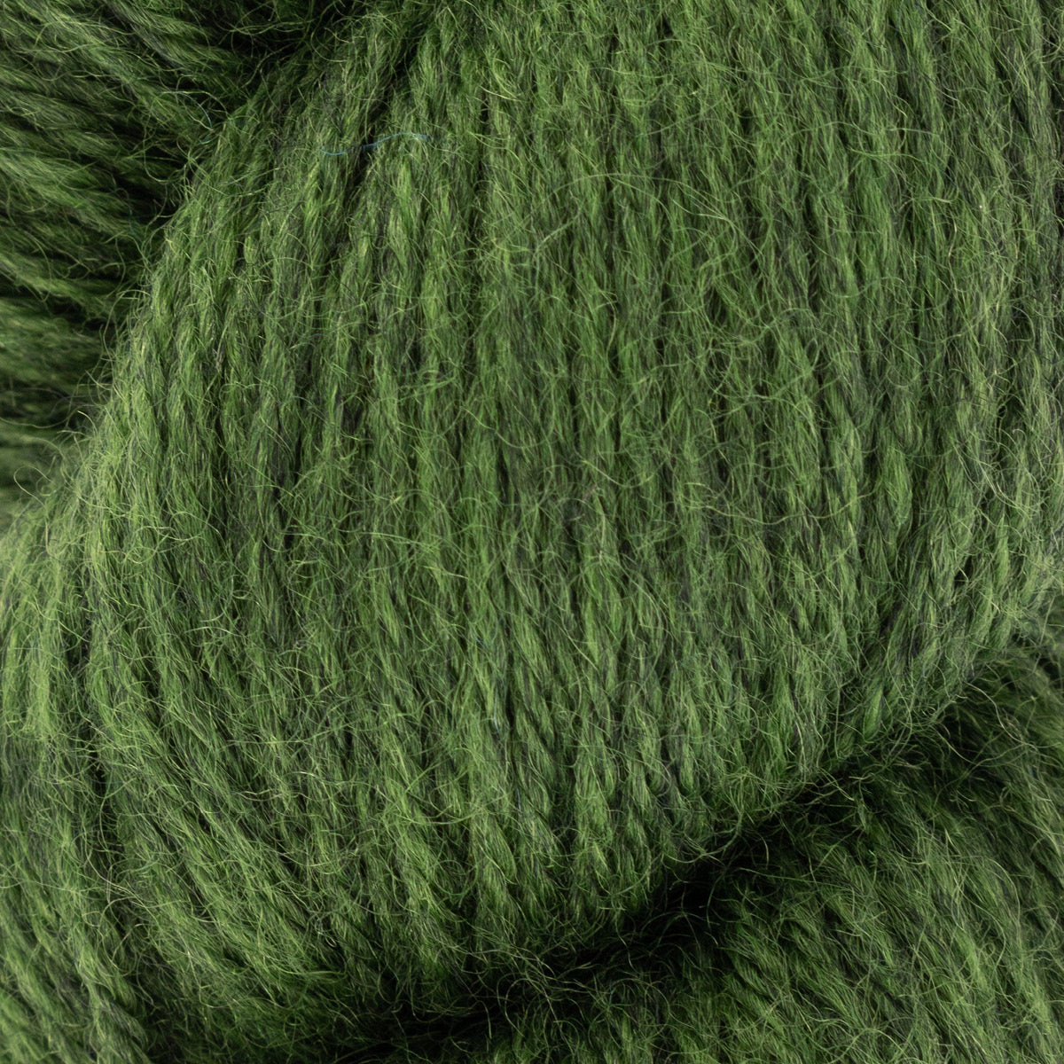 Fleece: Bluefaced Leicester DK