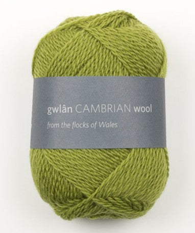 Cambrian Wool 4 ply