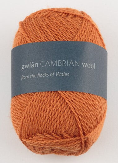 Cambrian Wool 4 ply