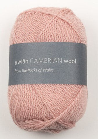 Cambrian Wool 4 ply