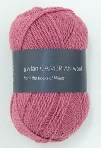 Cambrian Wool 4 ply